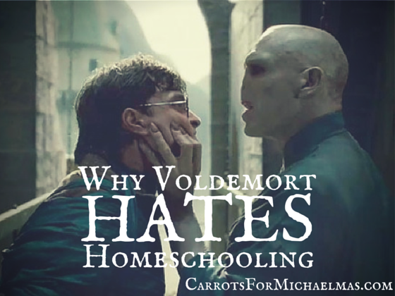 Why Voldemort Hates Homeschooling