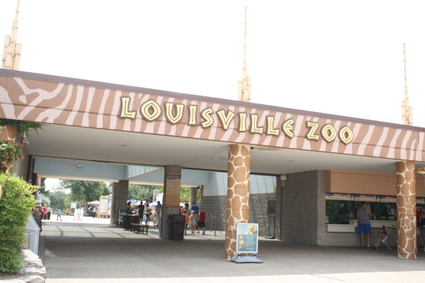 Things to Love in Louisville, KY