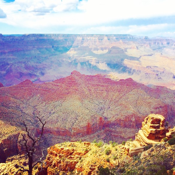 Why Essential Oils Are Like the Grand Canyon