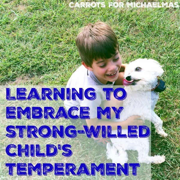 Learning to Embrace My Strong-Willed Child's Temperament