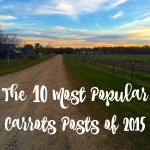 The 10 Most Popular Carrots Posts of 2015